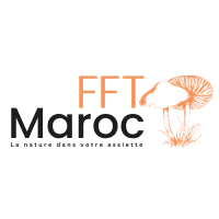 FFT MAROC